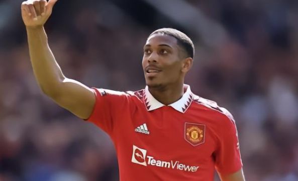 充分了解对 充分了解对